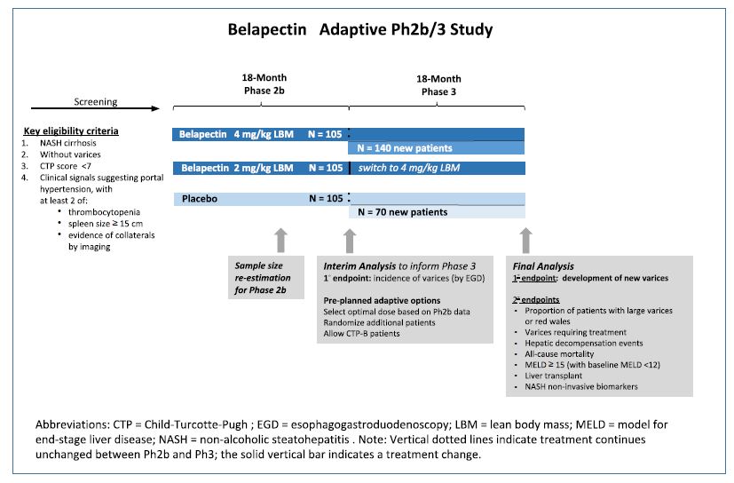 Belapectin Adaptive Ph2b/3 Study